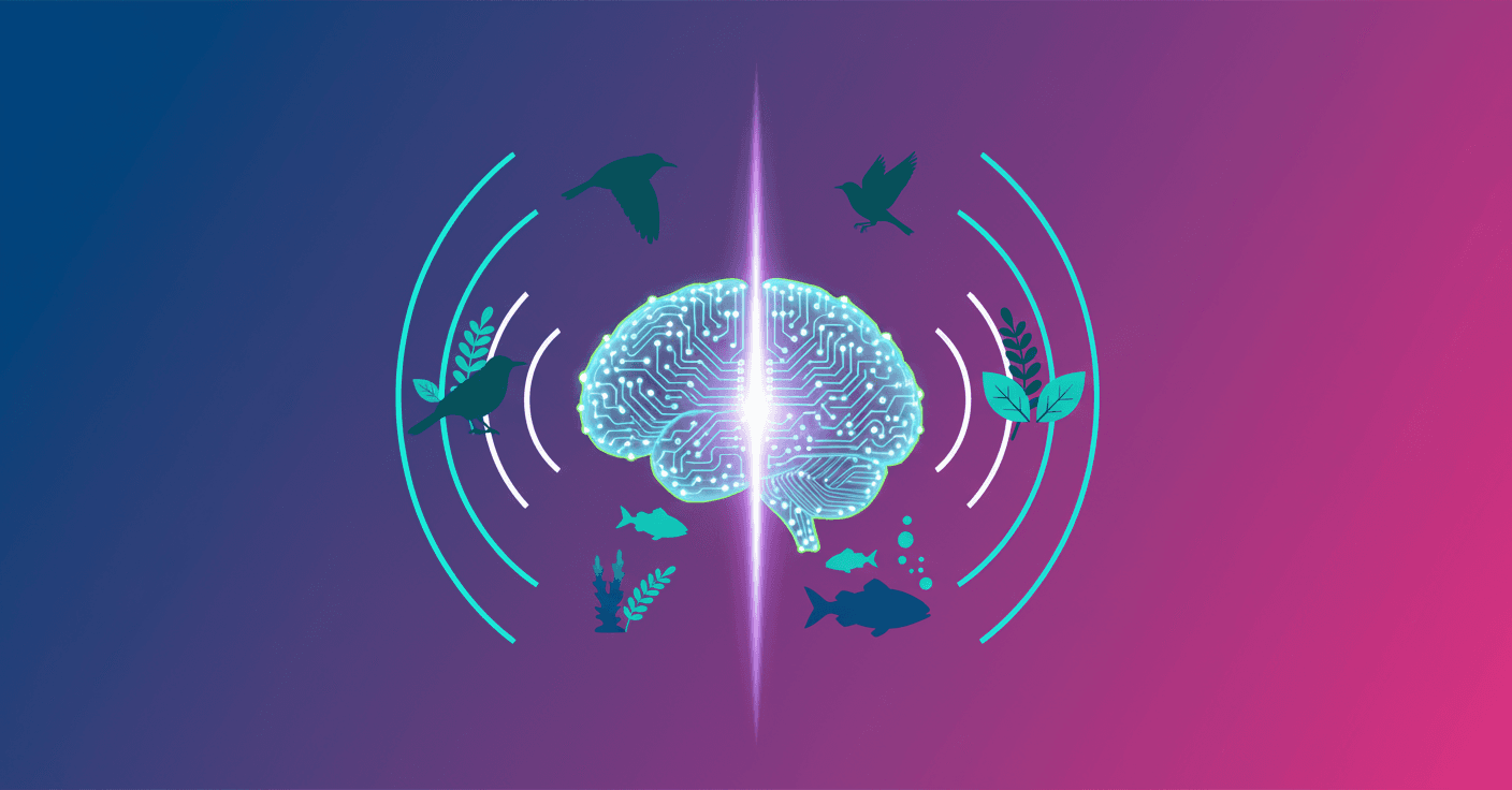 Perch: IA que acelera la bioacústica para salvar especies