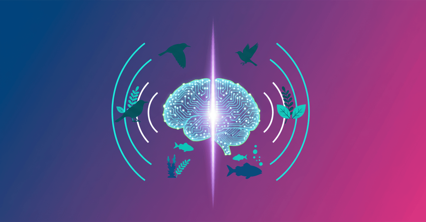 Perch: IA que acelera la bioacústica para salvar especies